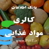 دانلود دیتابیس کالری غذاها